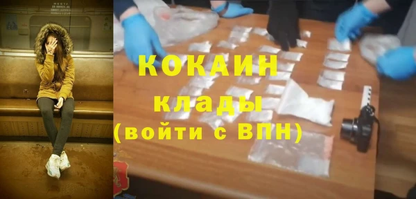 шишки Балабаново