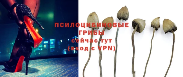 шишки Балабаново