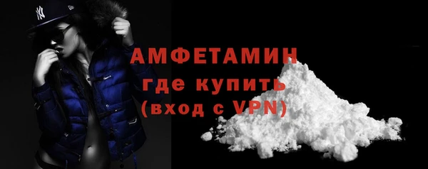 шишки Балабаново