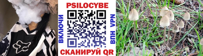 Псилоцибиновые грибы GOLDEN TEACHER  Усть-Джегута 
