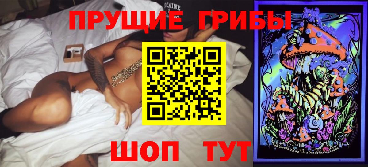 Псилоцибиновые грибы Psilocybine cubensis Усть-Джегута